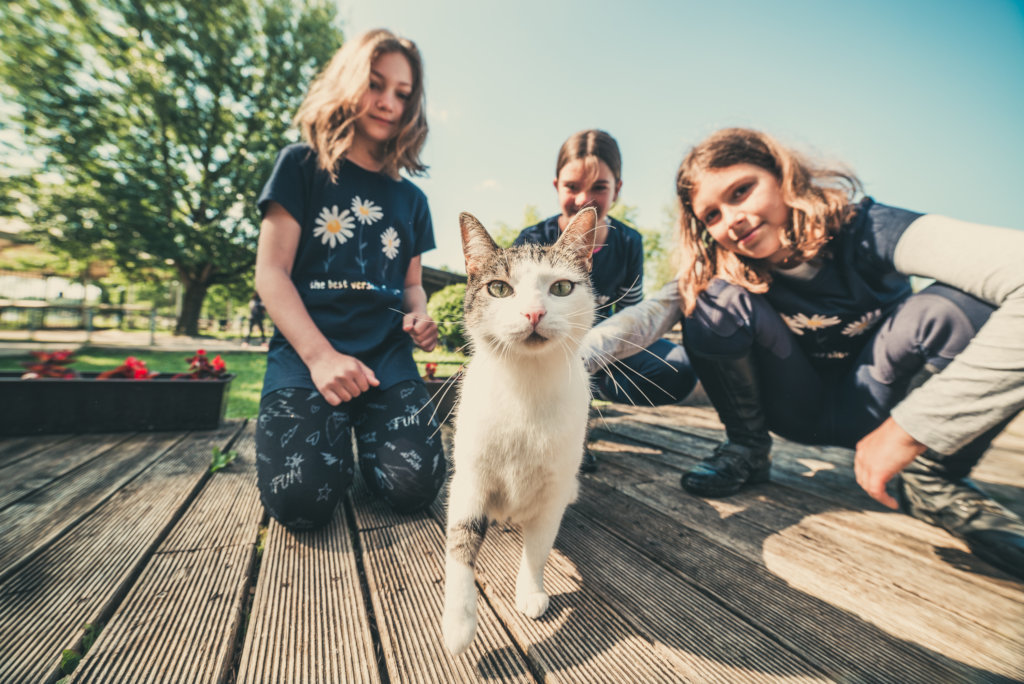 WE EMPOWER CROATIAN CHILDREN TO OVERCOME FEARS