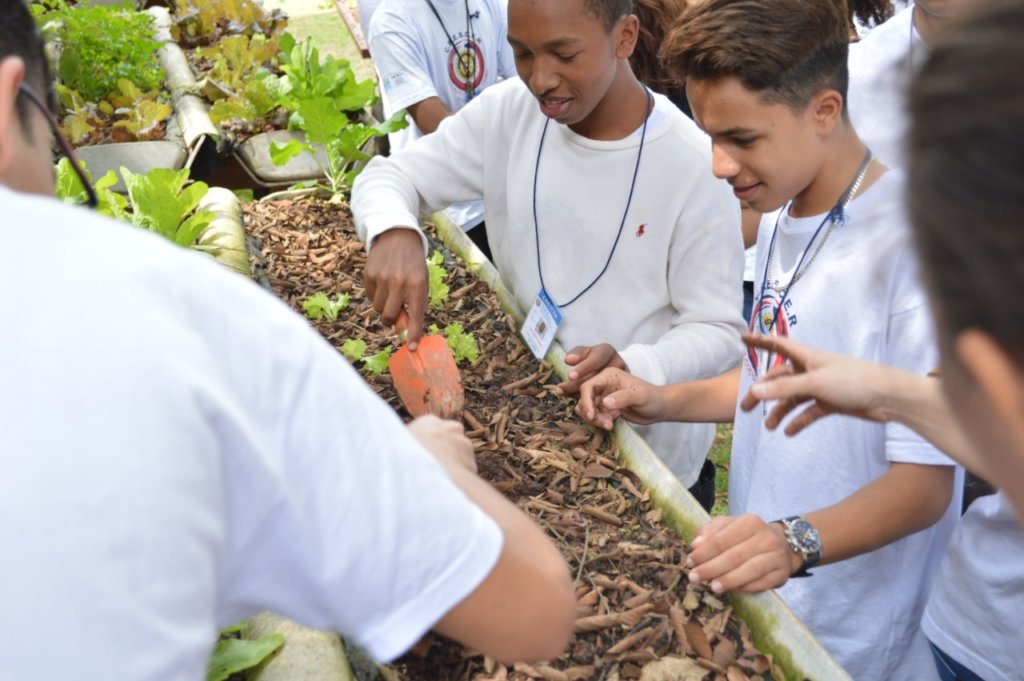 Enable 300 vulnerable students for their first job - GlobalGiving