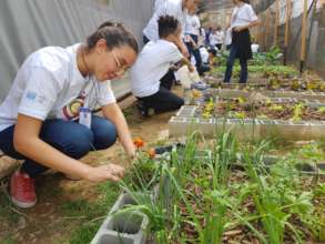 Working in the garden