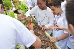 Organic Garden Project