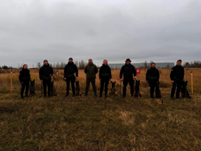 Handlers and team accreditation in Ukraine