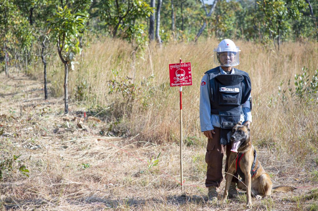 Support APOPO's Minefield Survey HeroDOGs
