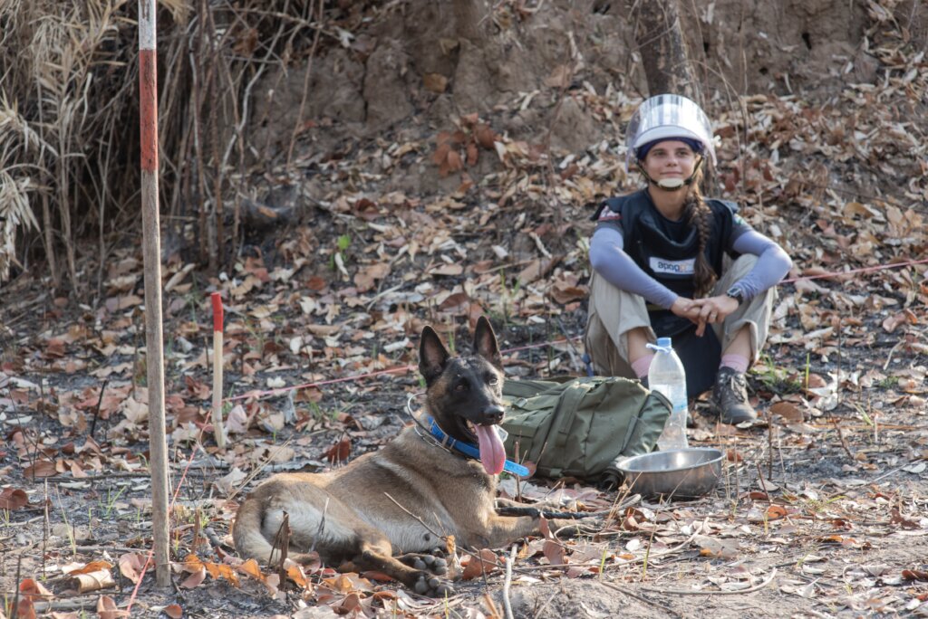 Support APOPO's Minefield Survey HeroDOGs