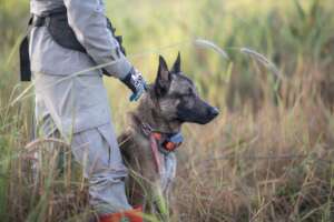 HeroDOG and handler in Cambodia