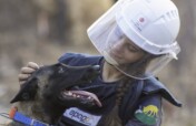 Support APOPO's Minefield Survey HeroDOGs