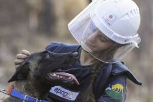 Support APOPO's Minefield Survey HeroDOGs