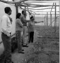 Community Garden