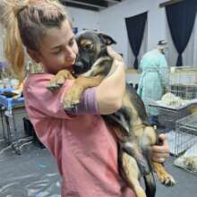 Every animal deserves love and care