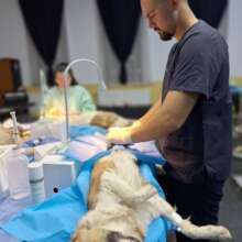 Local vets volunteered for this important cause