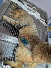 someone is slowly getting back to their feet