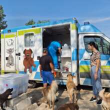 Veterinarian team arriving on our farm