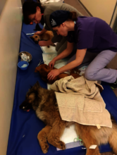 loving and caring interaction