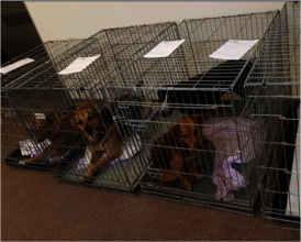 people living round with less money help is needed