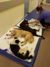 waking up and getting time