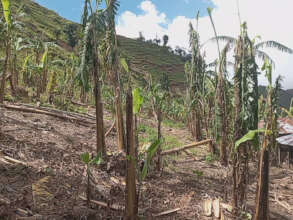 Crops Lost - Community's Primary Source Of Income