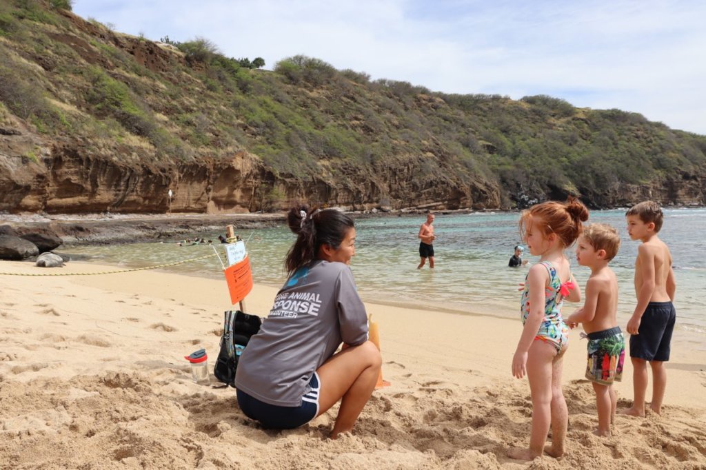 Response & Rescue of Hawaii's Marine Life