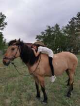 The horse riding