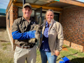 Rescue Owl
