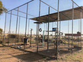 Vervet monkey enclosure