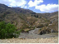 Provide agriculture training for Bolivian children