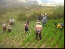 Community Involvement