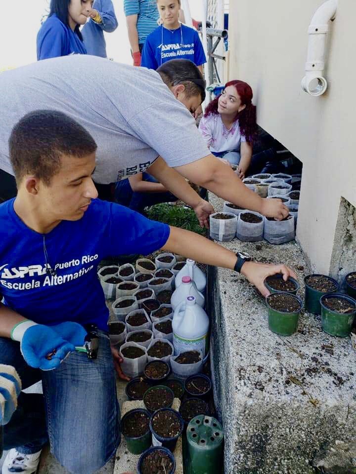Teach agriculture to youth in Puerto Rico