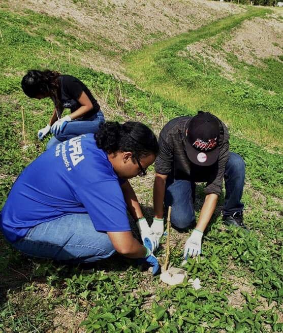 Teach agriculture to youth in Puerto Rico
