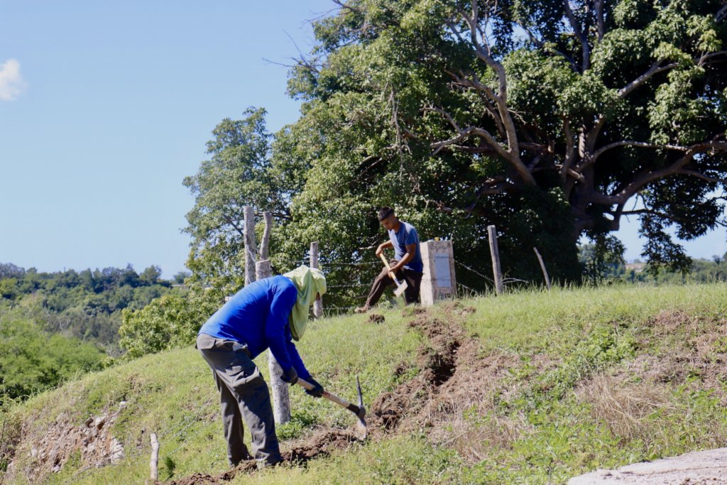 Teach agriculture to youth in Puerto Rico