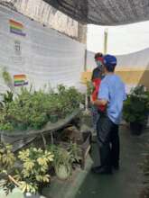 At our site in San Juan, participants