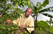 Promote 100 Agric-Chain Jobs for Jobless Nigerian