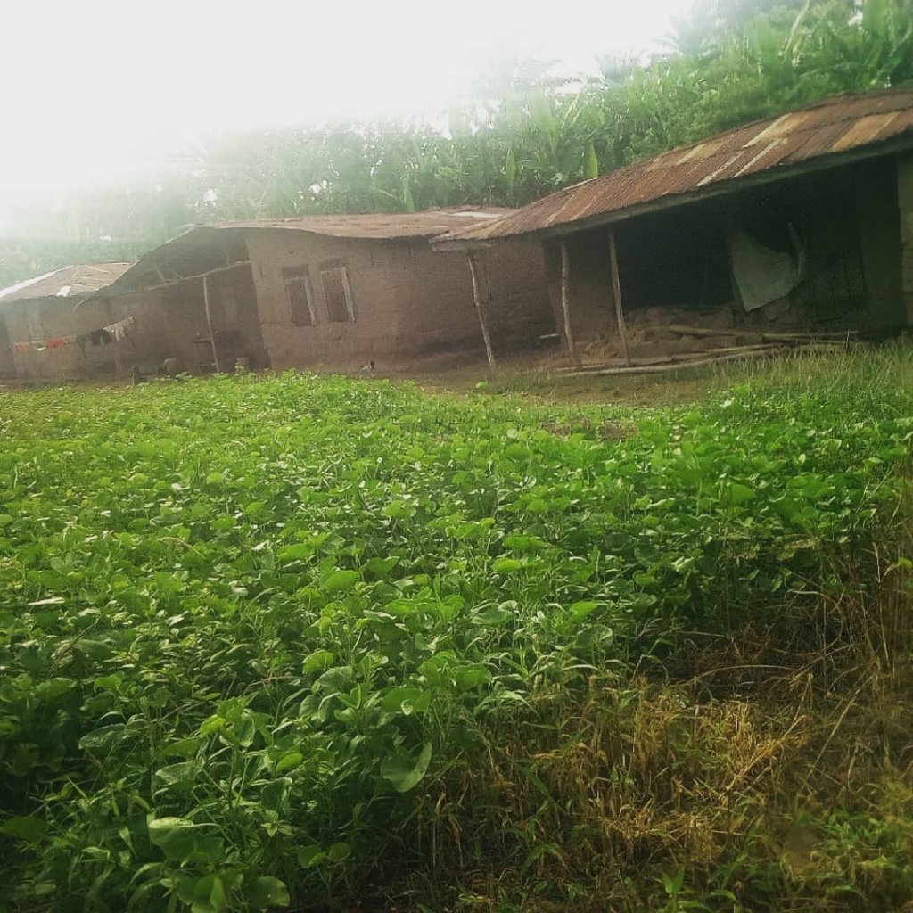 Akinyele Clean Water Project