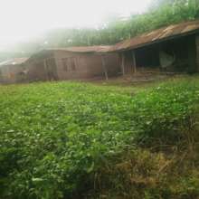 Ojo-Baale community