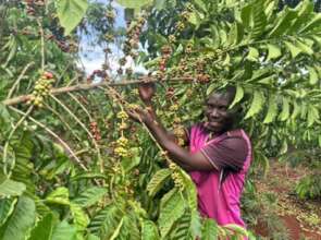 Coffee farmer displaying his output