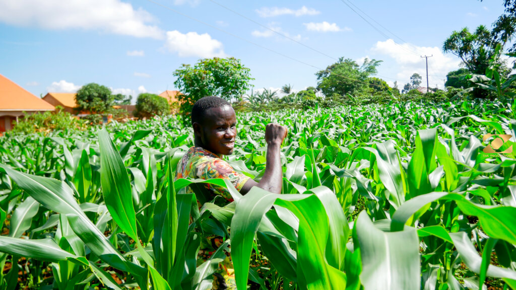 Flourishing garden in 2026 despite climate changes