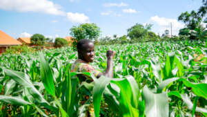 Flourishing garden in 2026 despite climate changes