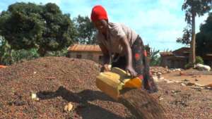 Women farmers participating in coffee value chain