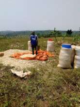Inspection of sun drying at farmers gardens