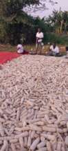 Proper drying of produce