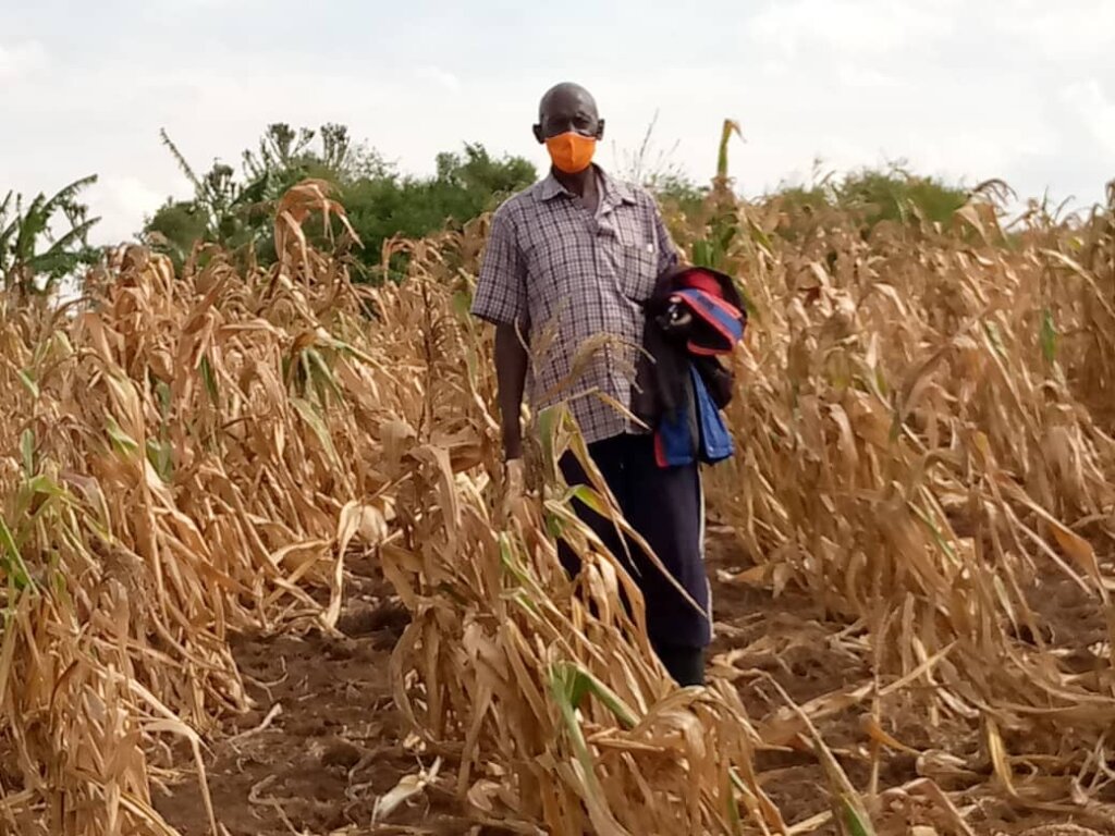 Farmer standing hopless in his dried garden- 2022
