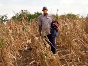 Farmer standing hopless in his dried garden- 2022
