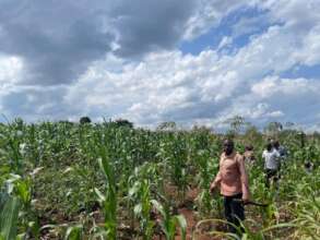 Makanika in his garden