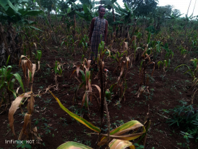Farmers garden devastated by drought
