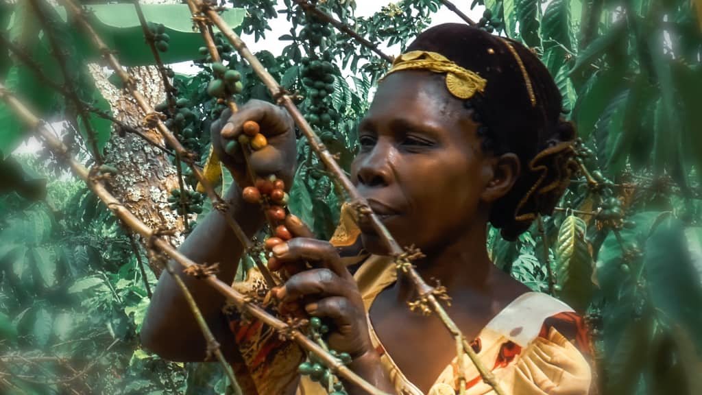 Local banks empowering women to engage in coffe