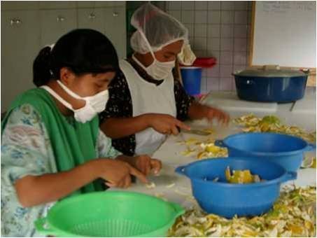 Building comprehensive farms in Guatemala