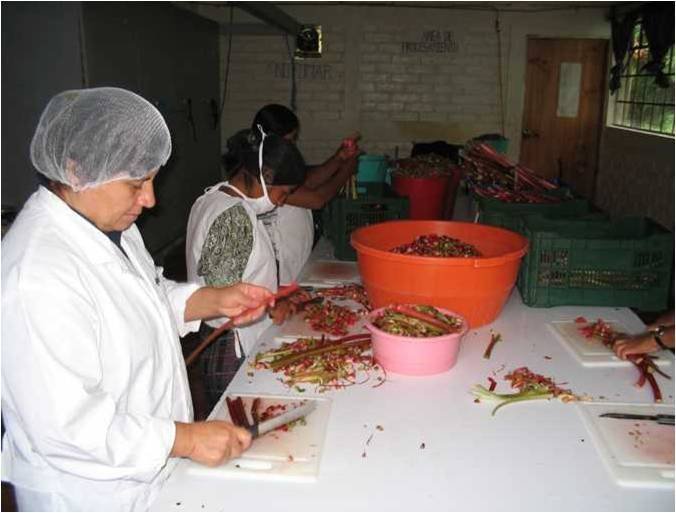 Building comprehensive farms in Guatemala