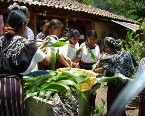 Building comprehensive farms in Guatemala