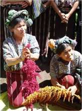 Local Women