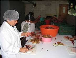 Preparing a Healthy Meal