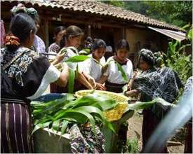 Learning Farming Skills