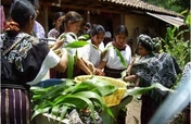 Building comprehensive farms in Guatemala